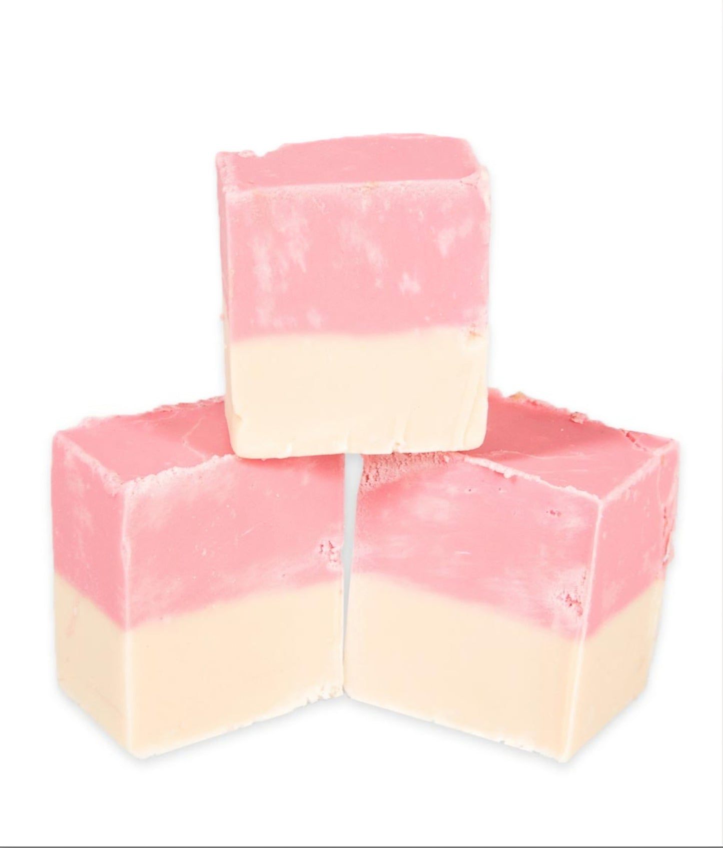 The Fudge factory 100g fudge