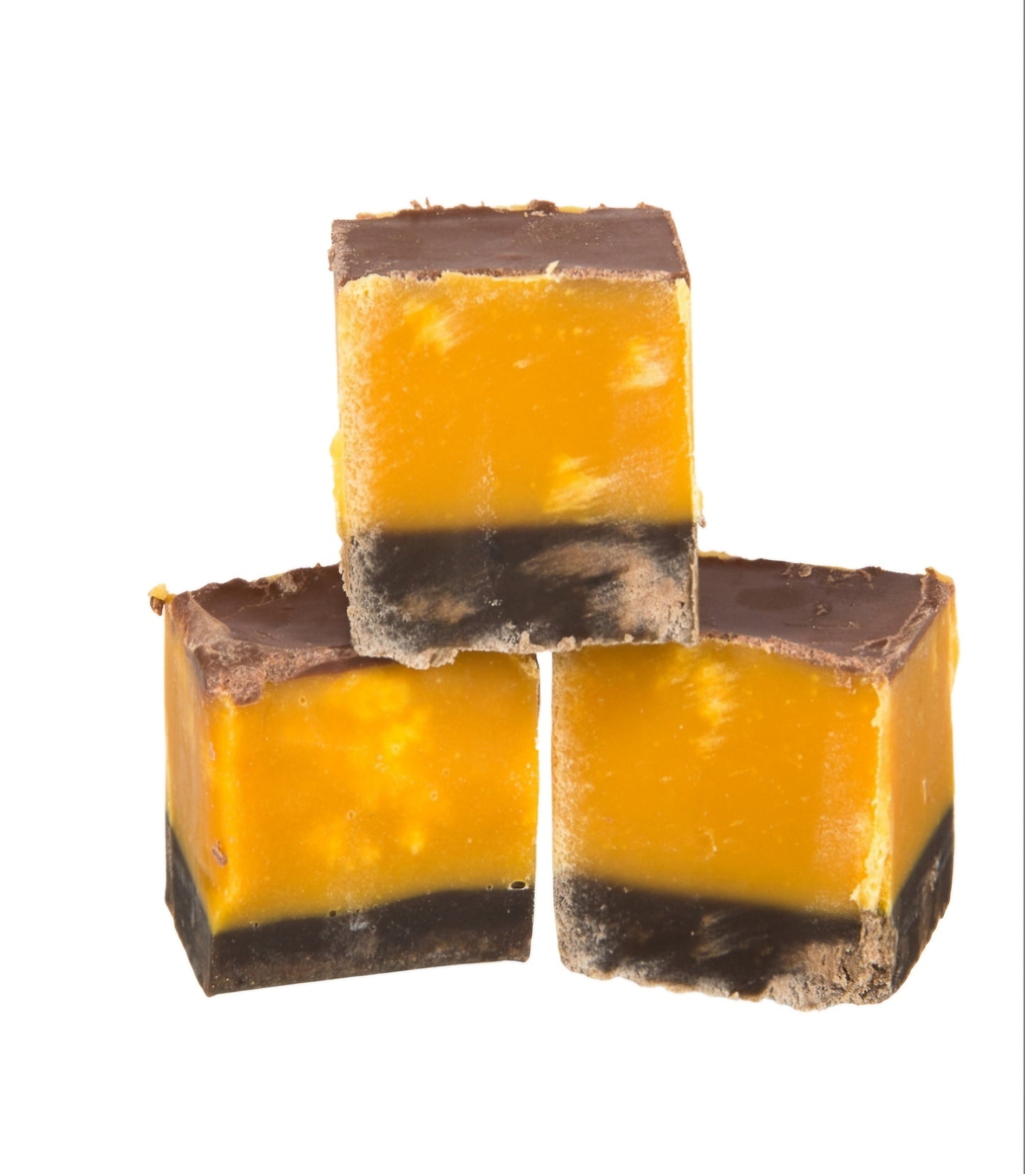 The Fudge factory 100g fudge